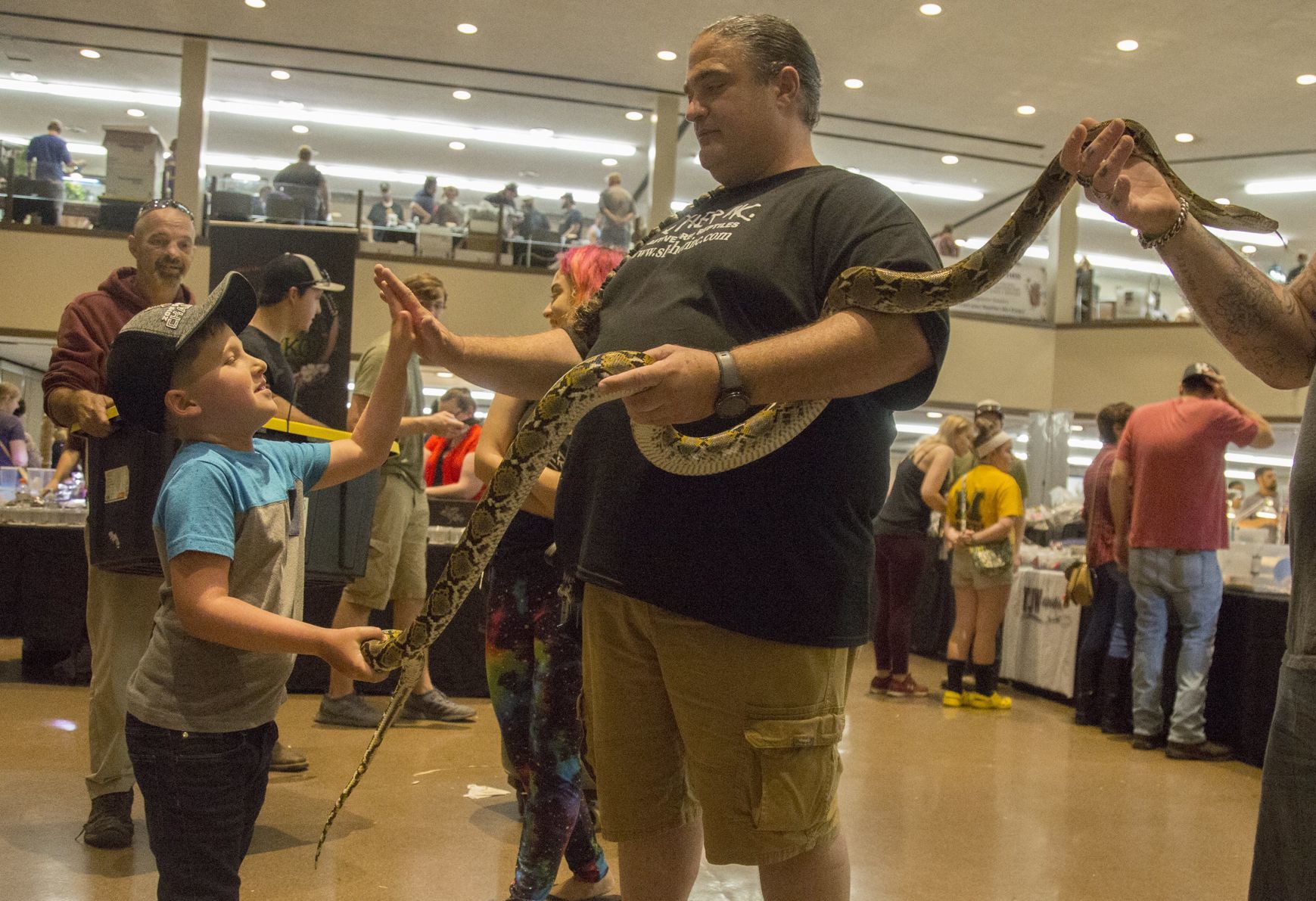 Show Me Reptile and Exotics Show